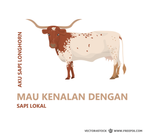 Karakteristik Dan Keunggulan Sapi Bali Vetmedicinae