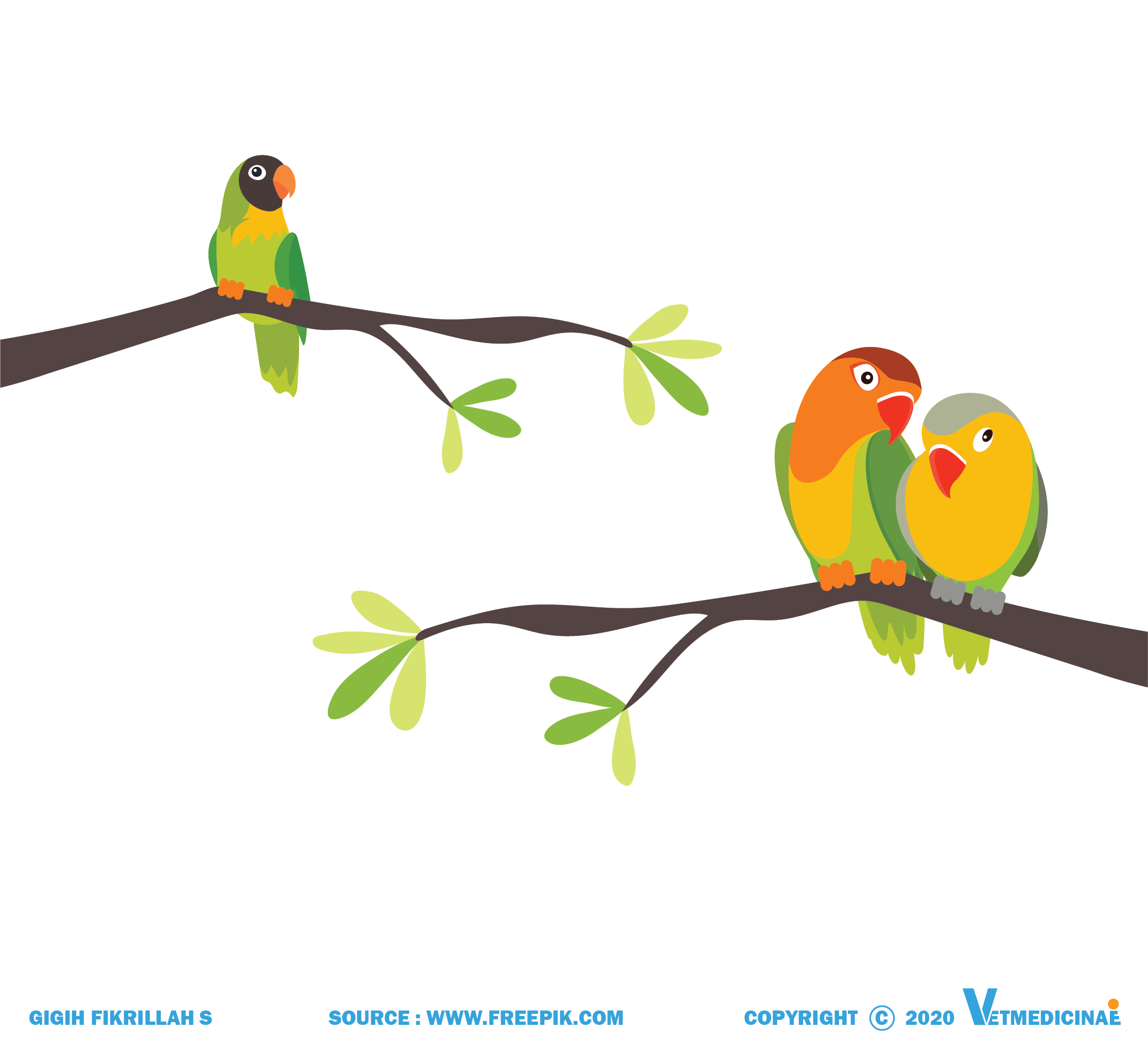 930+ Gambar Burung Lovebird Kartun Terbaik