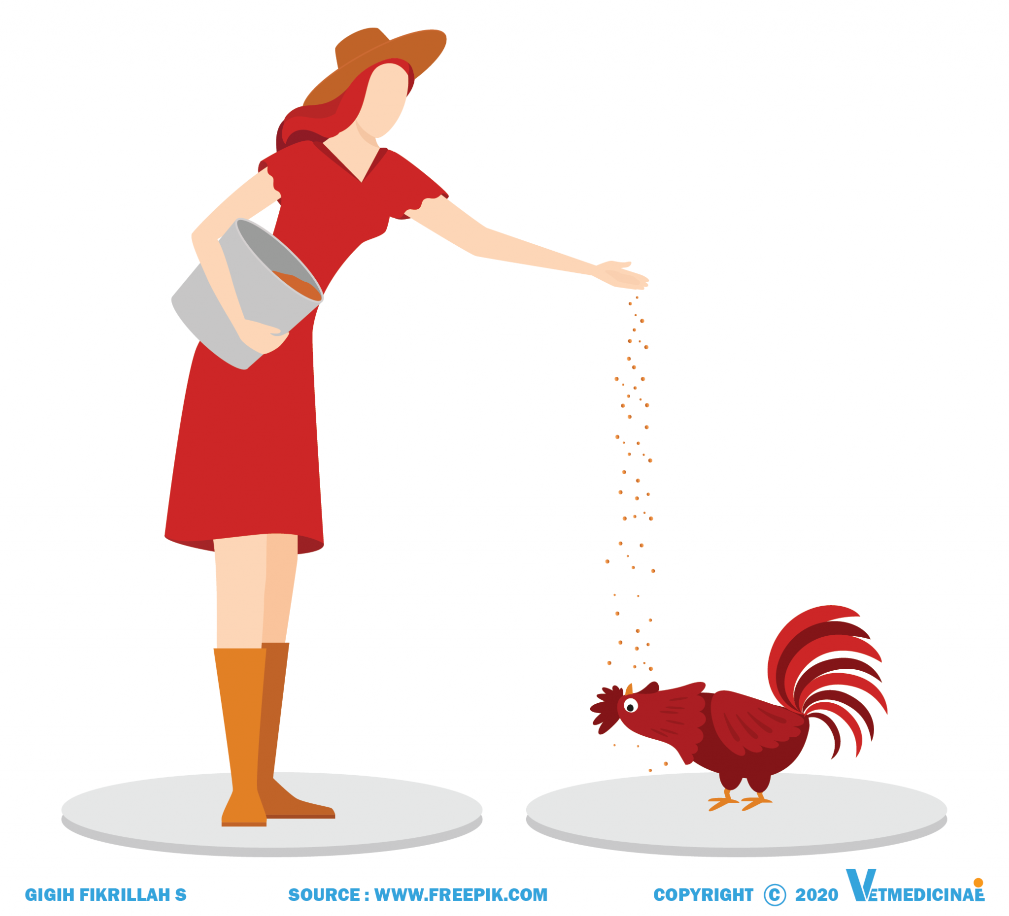 Penyakit Newcastle Disease Atau Tetelo Pada Ayam » VETMEDICINAE