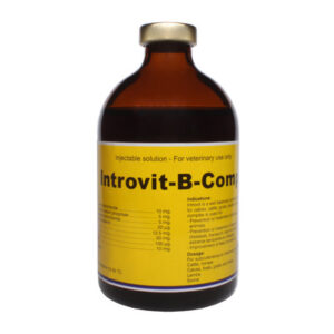 Obat Hewan 8 Introvit B Complex Introvit B-Complex