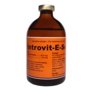 Obat Hewan 7 Introvit E Selen Introvit E-Selen