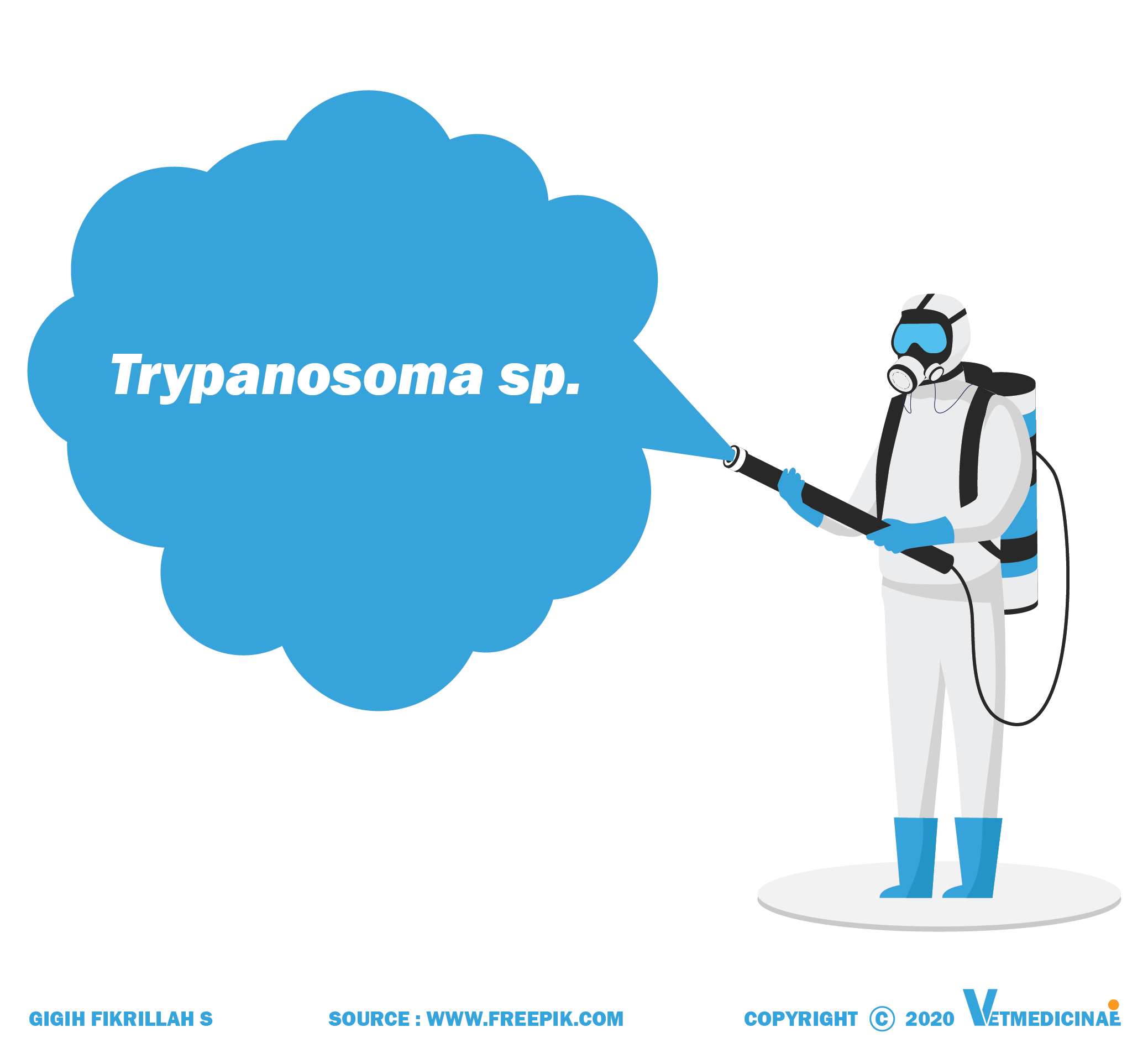 Protozoa Trypanosoma