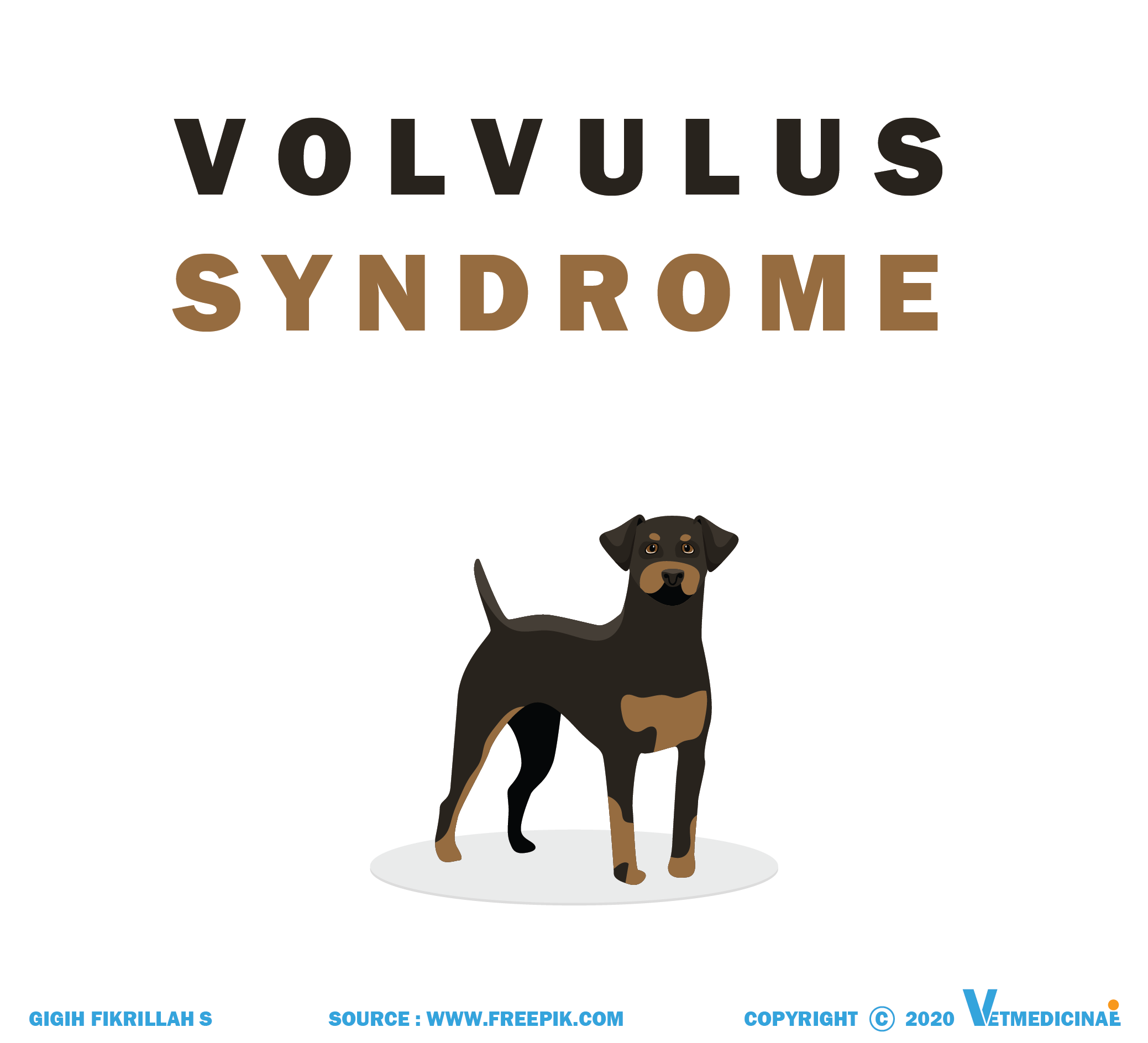 volvulus syndrome pada anjing
