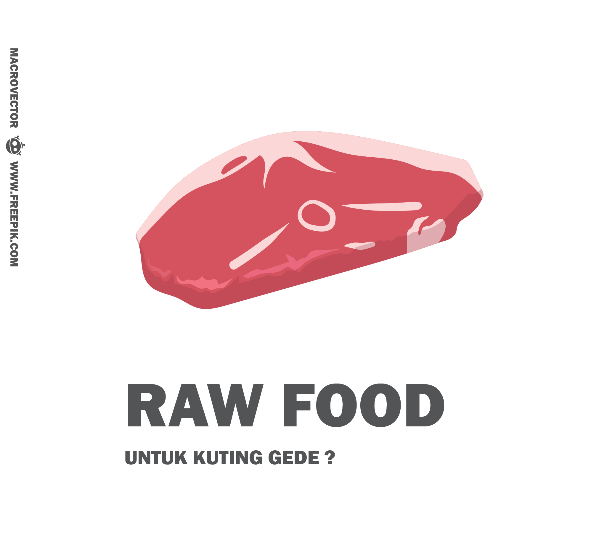 amankah memberi raw food untuk kucing