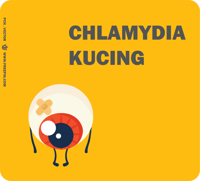 Penyakit chlamydia pada kucing