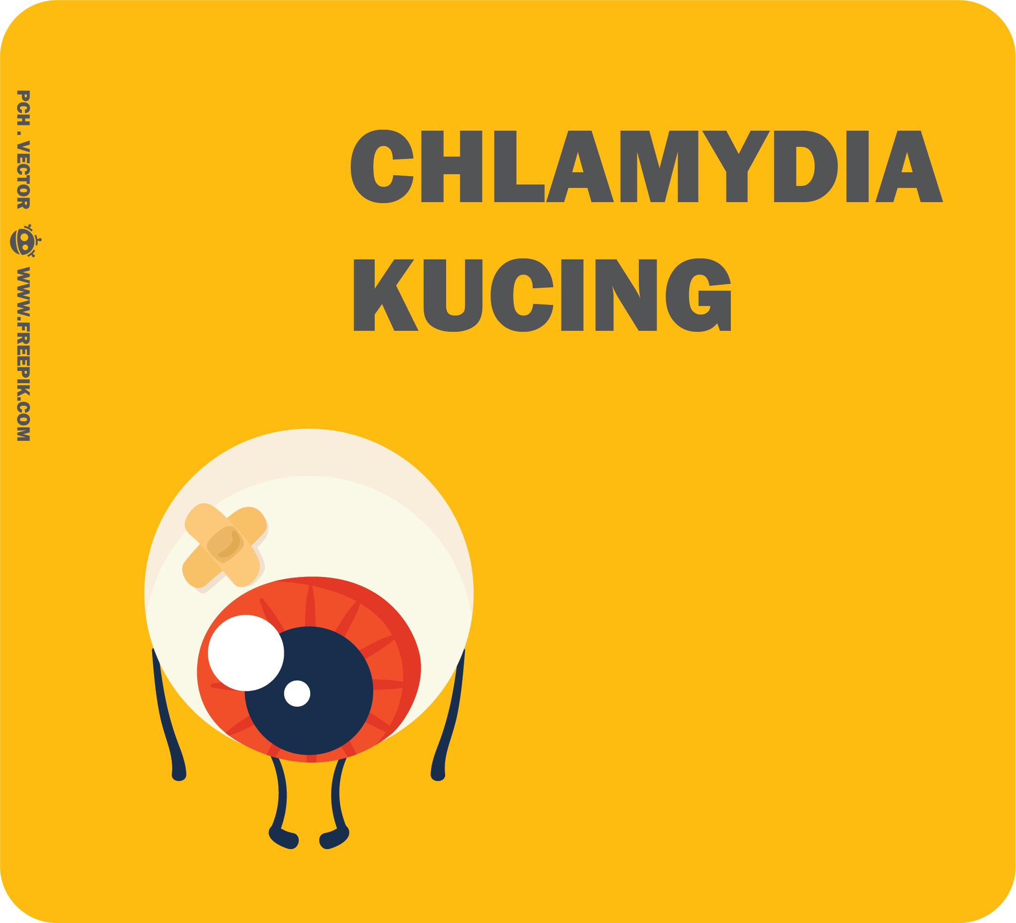 Penyakit chlamydia pada kucing