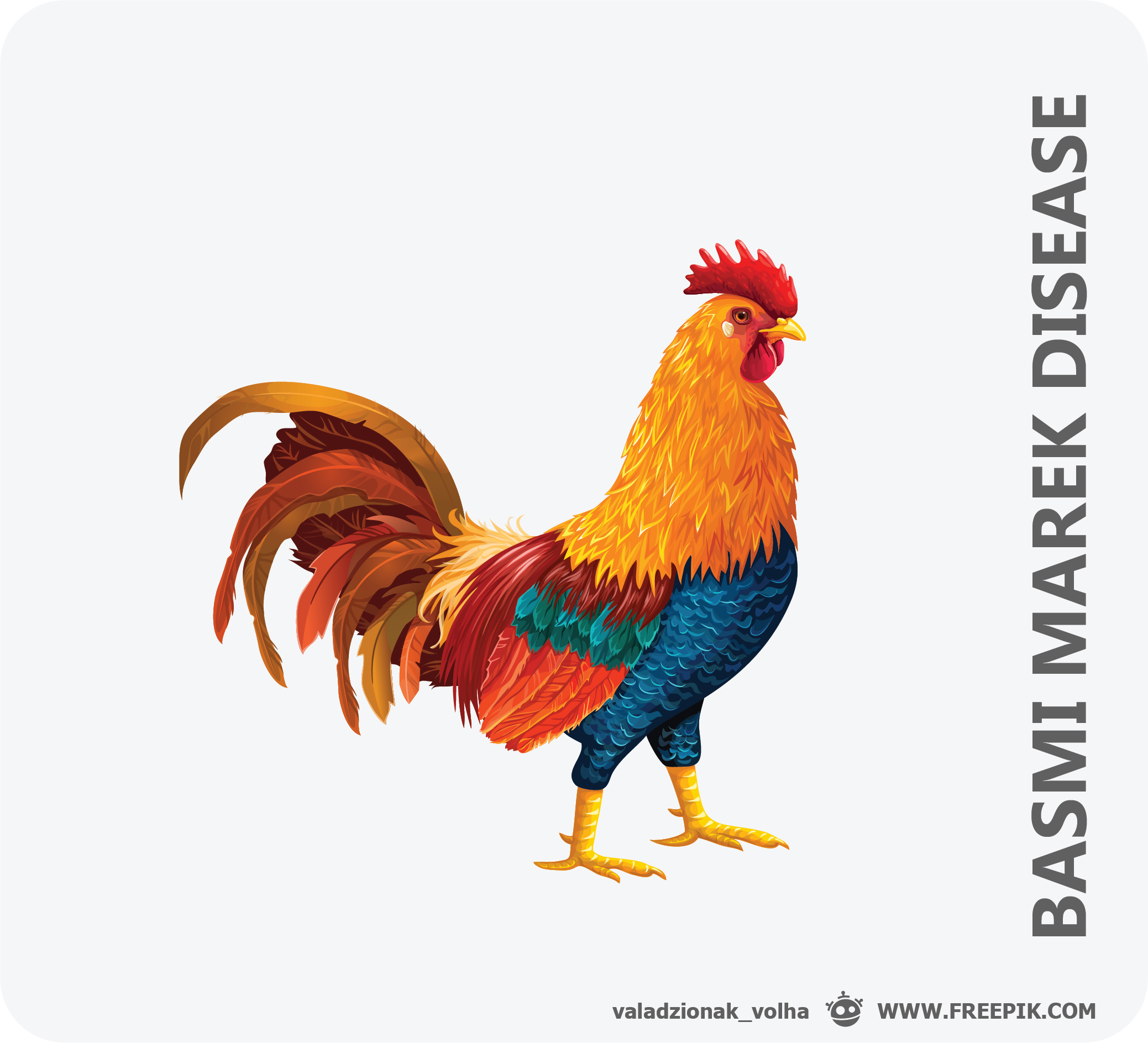 Penyakit Marek Disease pada Ayam