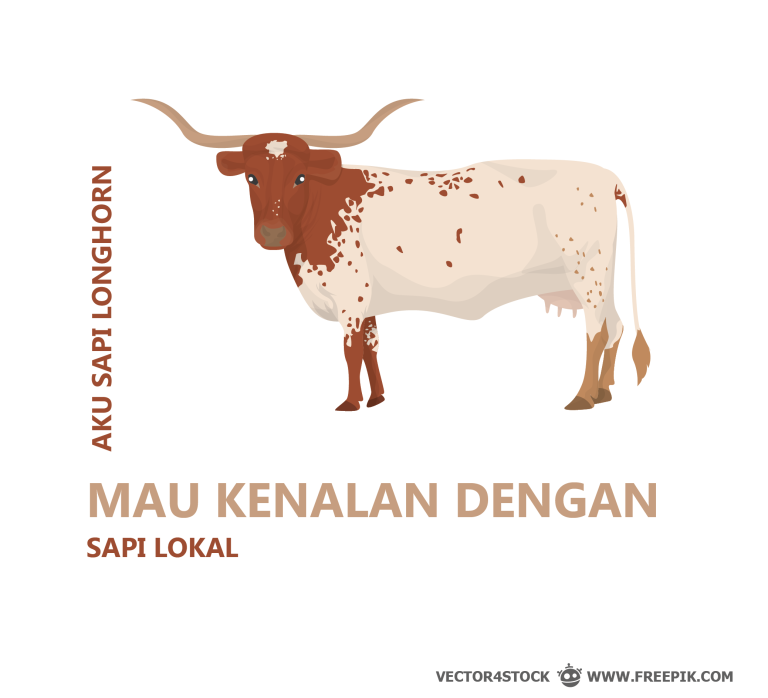 Sapi Lokal Indonesia