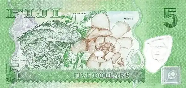Fiji Banded Iguana Uang